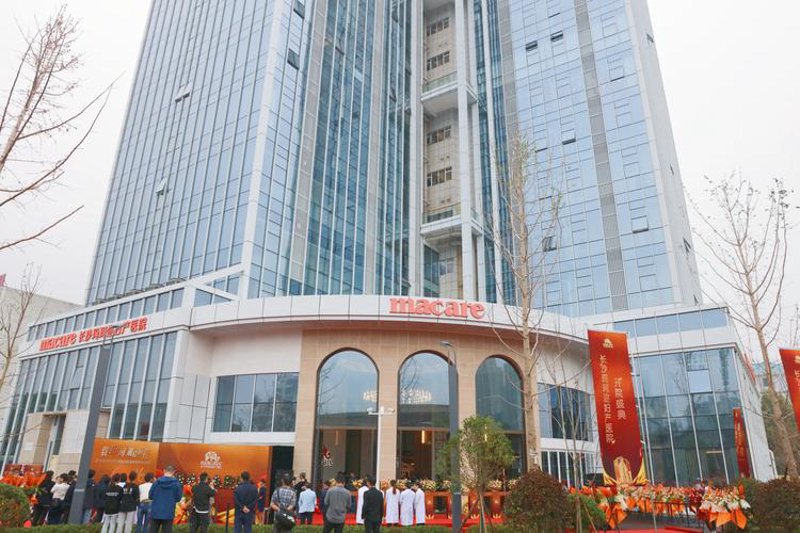 长沙网站建设市场现状与发展趋势